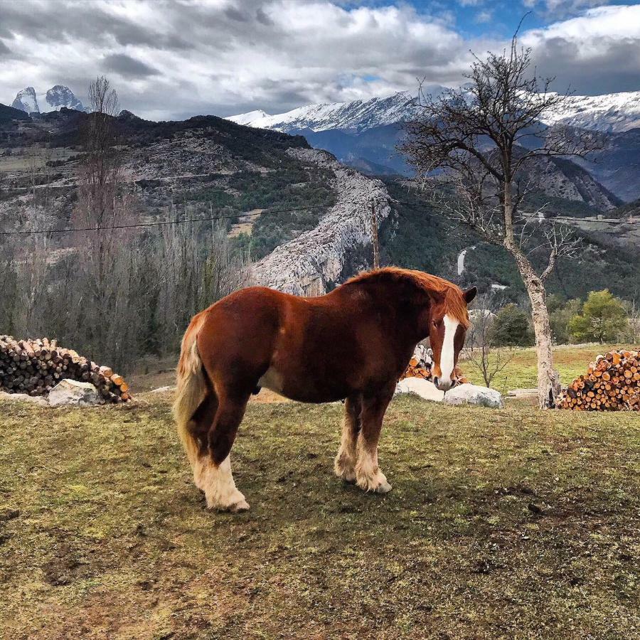Masia Cap Del Roc Vallcebre Eksteriør billede